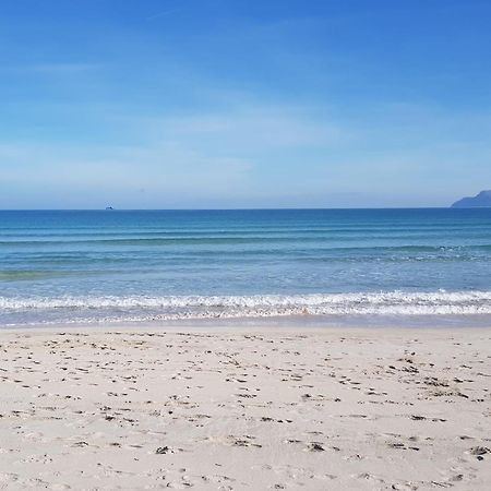 Ideal Property Mallorca - Blue Palm Beach Alcudia  Exteriör bild