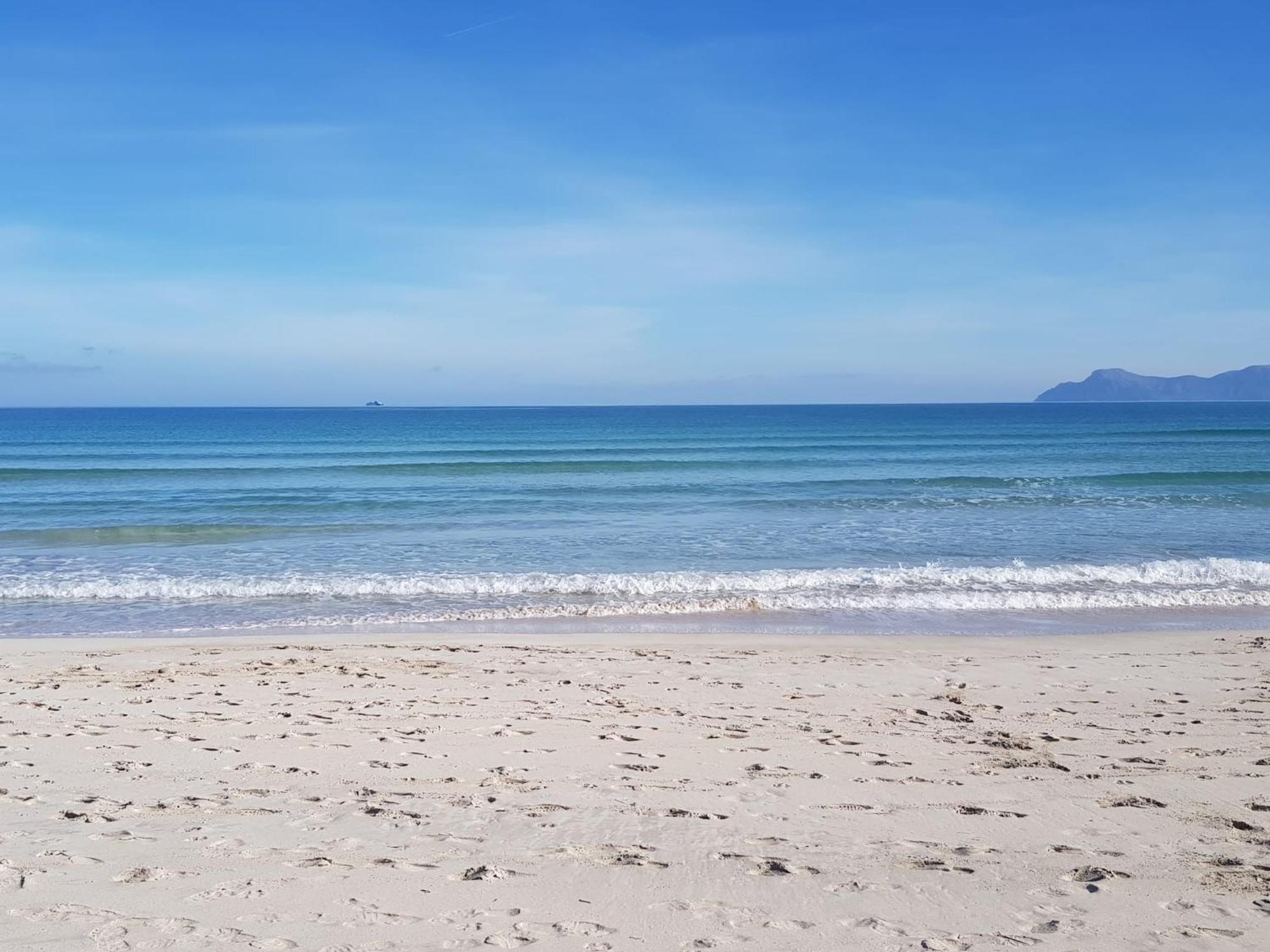 Ideal Property Mallorca - Blue Palm Beach Alcudia  Exteriör bild